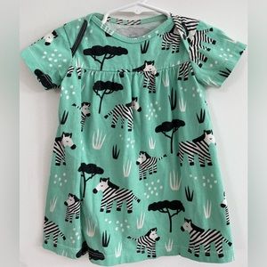Winter Water Factory; 12 months; mint green with cute zebras